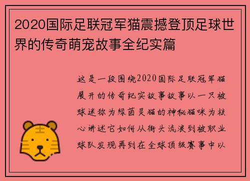 2020国际足联冠军猫震撼登顶足球世界的传奇萌宠故事全纪实篇